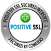Positive SSL Secure Checkout Seal